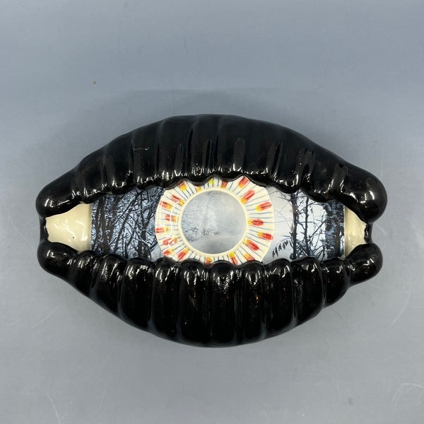 Large Cowrie Shell Viewfinder II