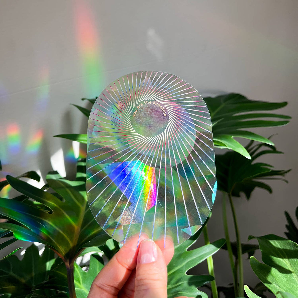 Rainbow Maker Sticker – Kemper Museum Shop