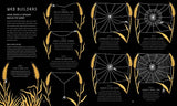 The Secret World of Spiderwebs