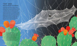 The Secret World of Spiderwebs