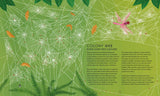 The Secret World of Spiderwebs