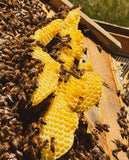 Solid Beeswax Cologne - Ozark Scent