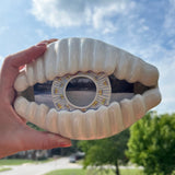 Large Cowrie Shell Viewfinder IV