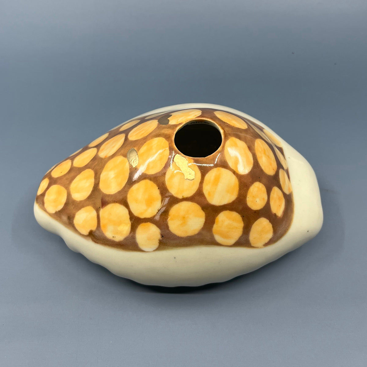 Large Cowrie Shell Viewfinder IV – Kemper Museum Shop