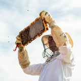 Solid Beeswax Perfume - Queen Bee Scent