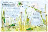 The Big Book of Nature Art