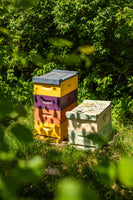 Solid Beeswax Perfume - Queen Bee Scent