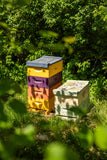 Solid Beeswax Perfume - Jasmine Nectar Scent