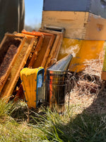Solid Beeswax Cologne - Ozark Scent