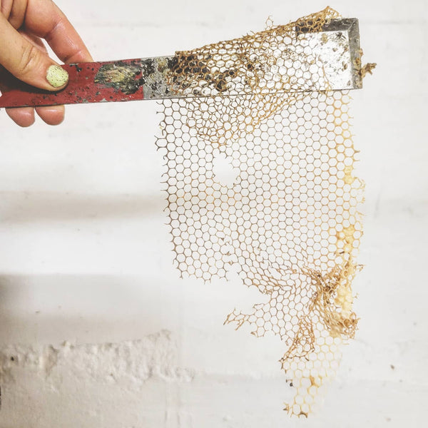 Solid Beeswax Perfume - As You Wish