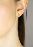 Charter Studs - Yellow Gold Polished