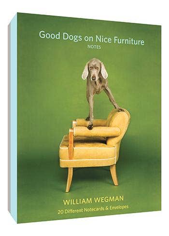 Good Dogs on Nice Furniture Notecard Set