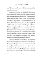 The Serviceberry: Abundance and Reciprocity in the Natural World