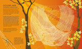 The Secret World of Spiderwebs