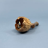 Bicycle in Acorn