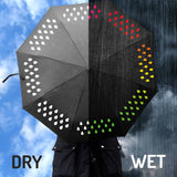 Color Changing Umbrella