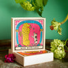 Square Safety Matches - Big Cat Little Cat