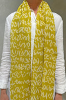 Wool Scarf - Fall 2025