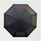 Color Changing Umbrella