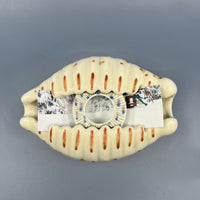 Large Cowrie Shell Viewfinder in Ribboned Box