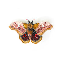 Emperor Mopane Moth Brooch
