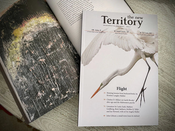 The New Territory Issue 12: Flight