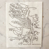 Eva Hesse at Oberlin: Visible Mending Transfers