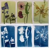 DIY Cyanotype Kit