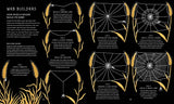 The Secret World of Spiderwebs