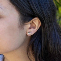 Ginkgo Post Earrings in Bronze