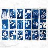 DIY Cyanotype Kit
