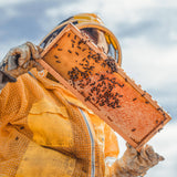 Solid Beeswax Cologne - Monarch