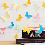 3D Butterfly Sticky Notes - Specimen Style Box