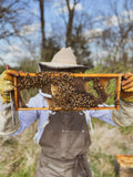 Messner Bee Farm Lip Balm