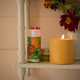 Small Cylinder Safety Matches - The Lion