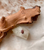 Hawk's Eye & Silver Ring