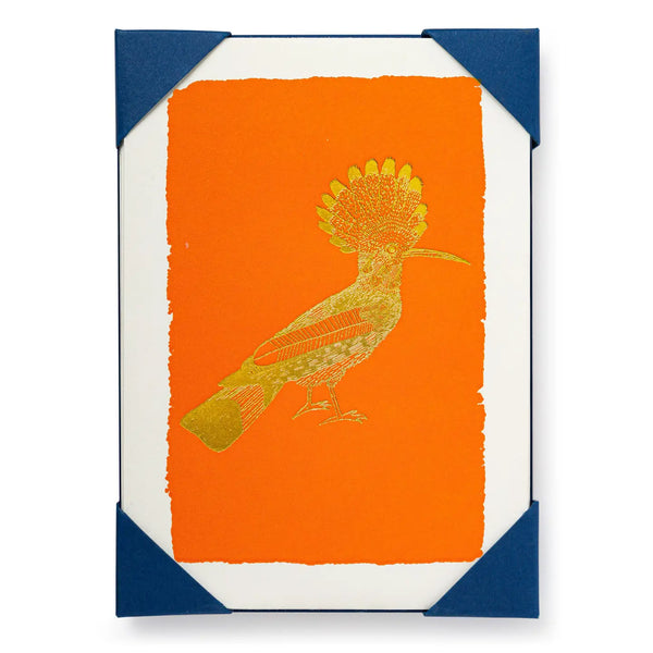 Orange Hoopoe Notelet Cards 5-Pack