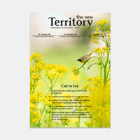 New Territory; Issue 16: Cut to Joy