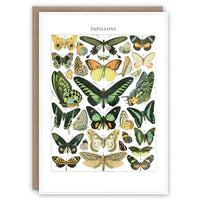 Papillons greeting card
